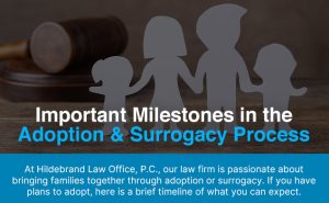 Important Milestones in the Adoption & Surrogacy Process [infographic]